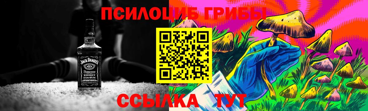 сколько стоит  Псилоцибиновые грибы Psilocybe  Вход с VPN  Псилоцибиновые грибы Magic Shrooms  Архангельск 